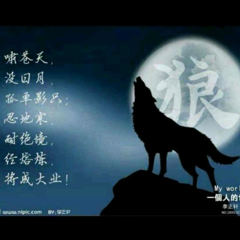 🇨🇳狼图腾⭐⭐