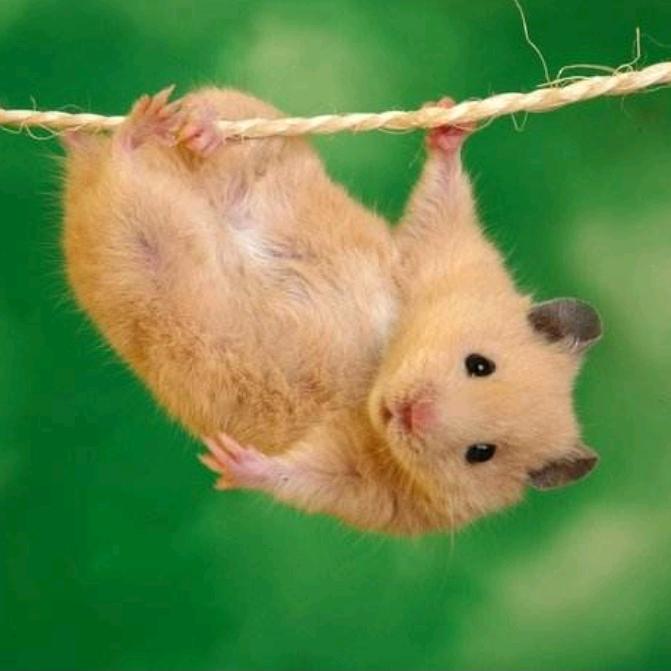 在希望的田野上撒欢