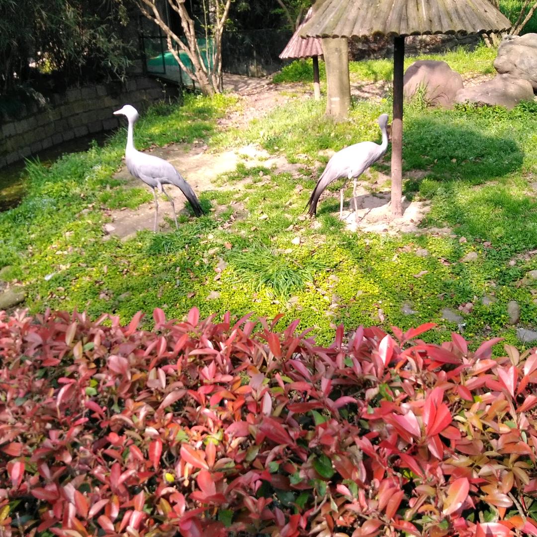 美好（橱窗有好物）