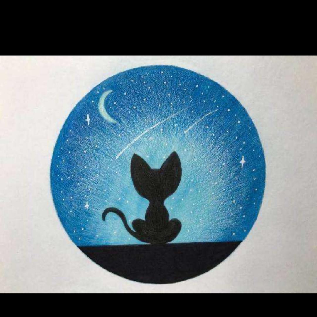 宝宝猪