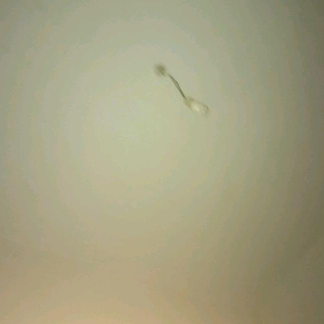 K精辟酷酷跑老漂亮了流量lpllllpl