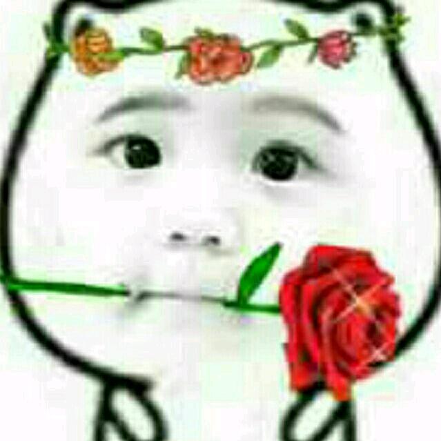 无念无望无初心