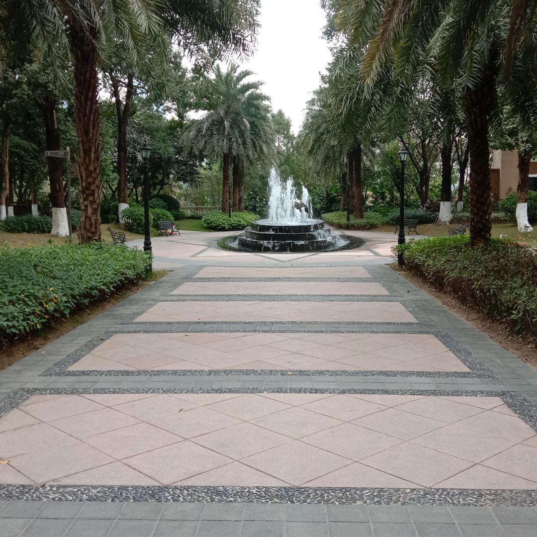 诚实守信，花开富贵