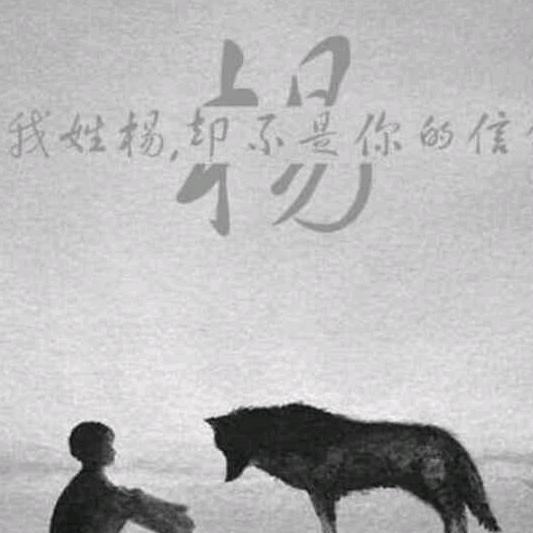 杨企