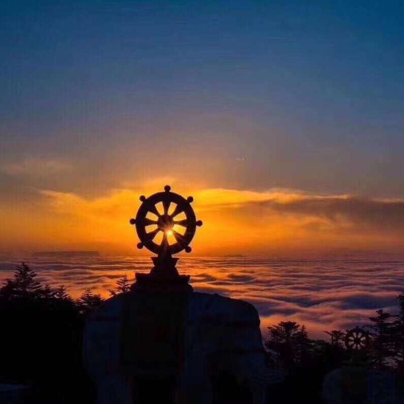 @仓赛🌞