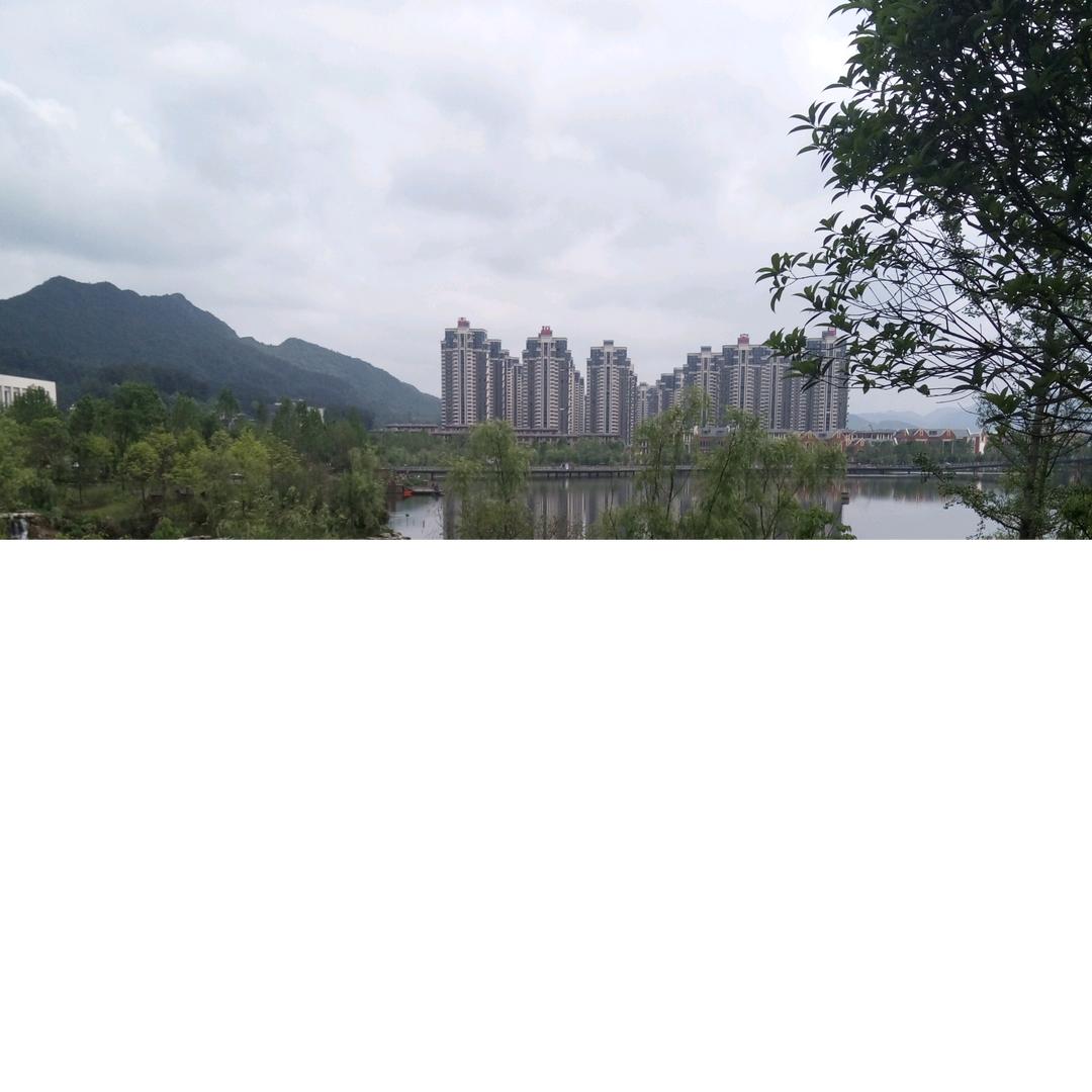 2615036206054久月玫瑰