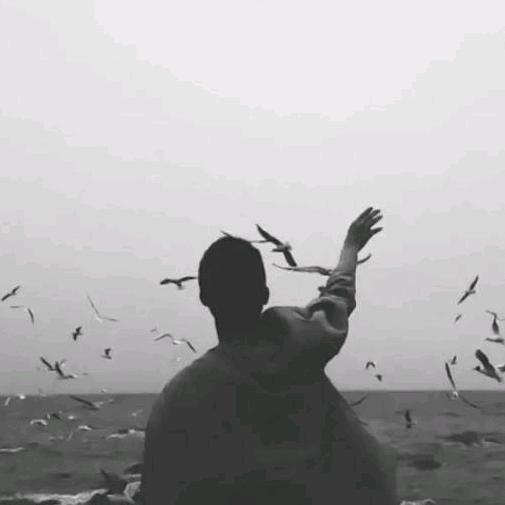黑哥