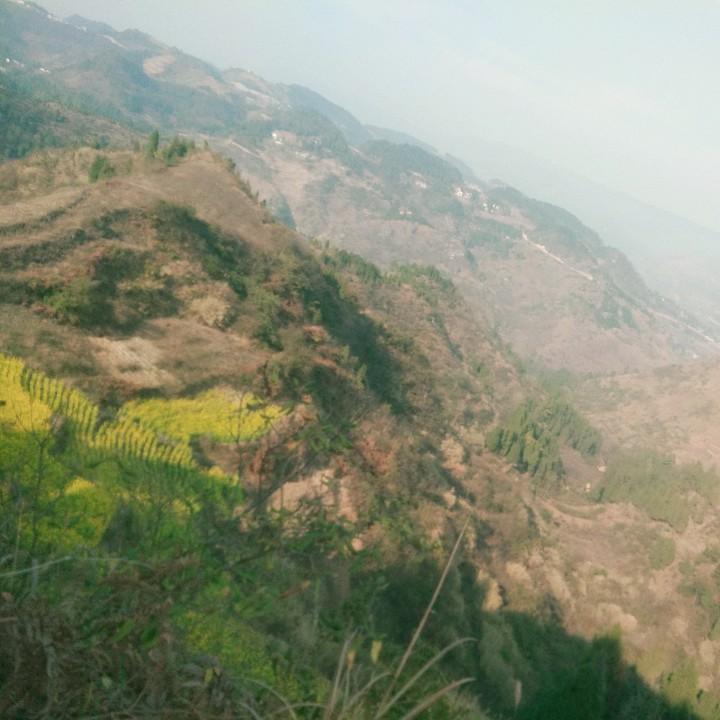 山歌我喜欢，我们一起听