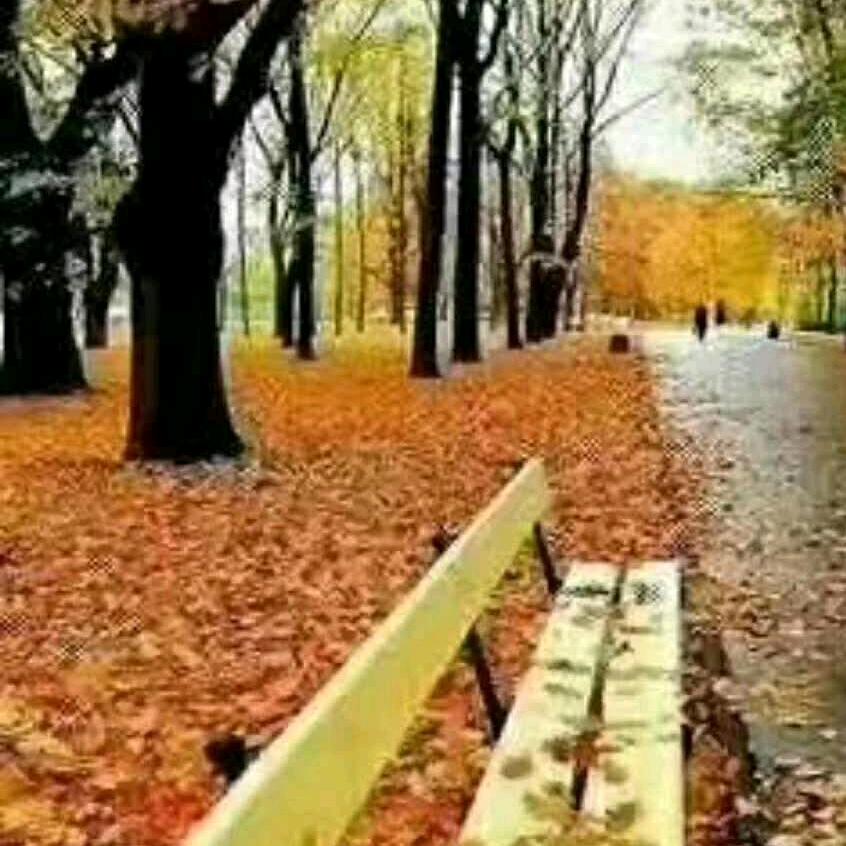 alkut 沙雅肉业总店