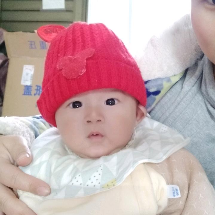宝贝萌主橙橙^0^