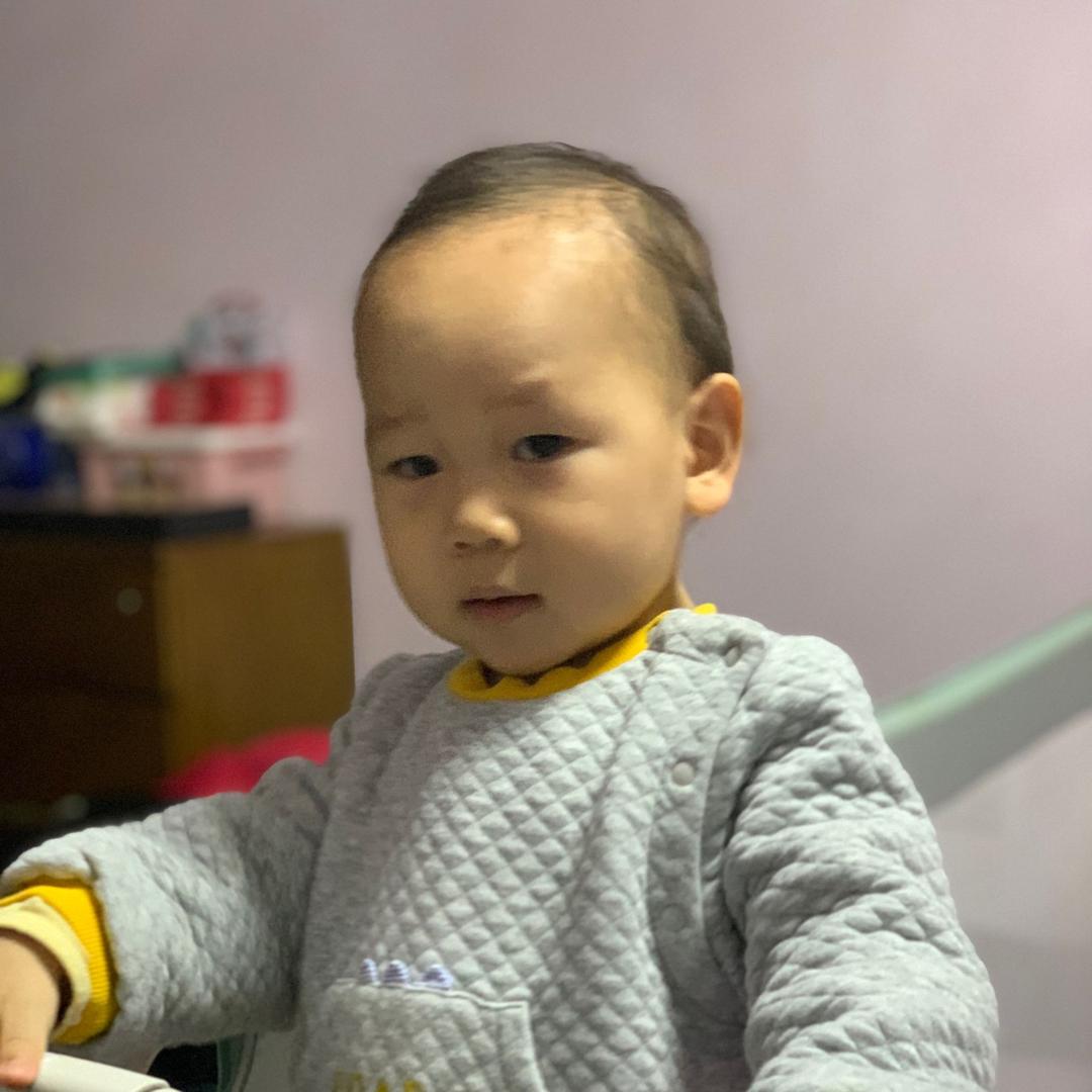 小海马的故事
