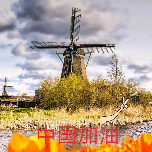桂圆
