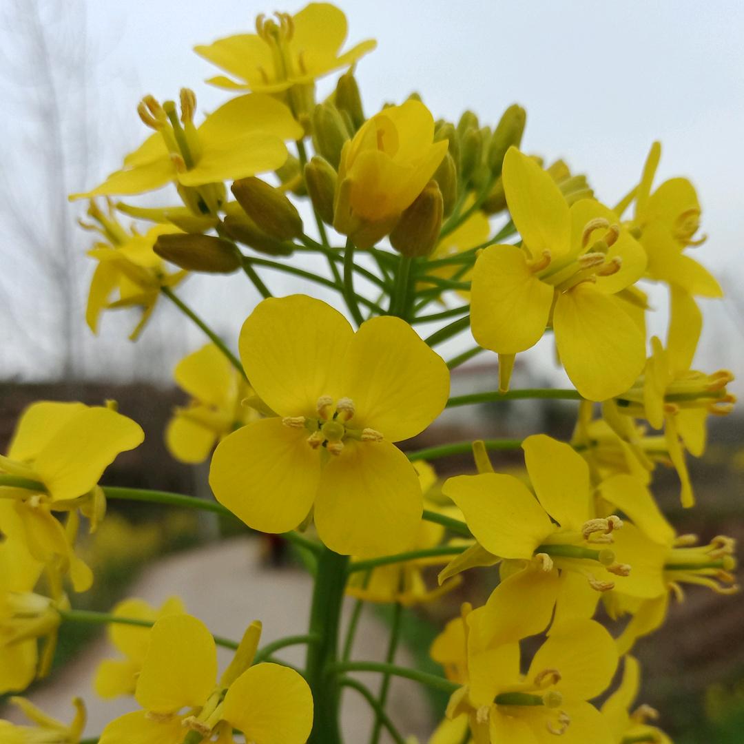 毛毛的两个小乖娃