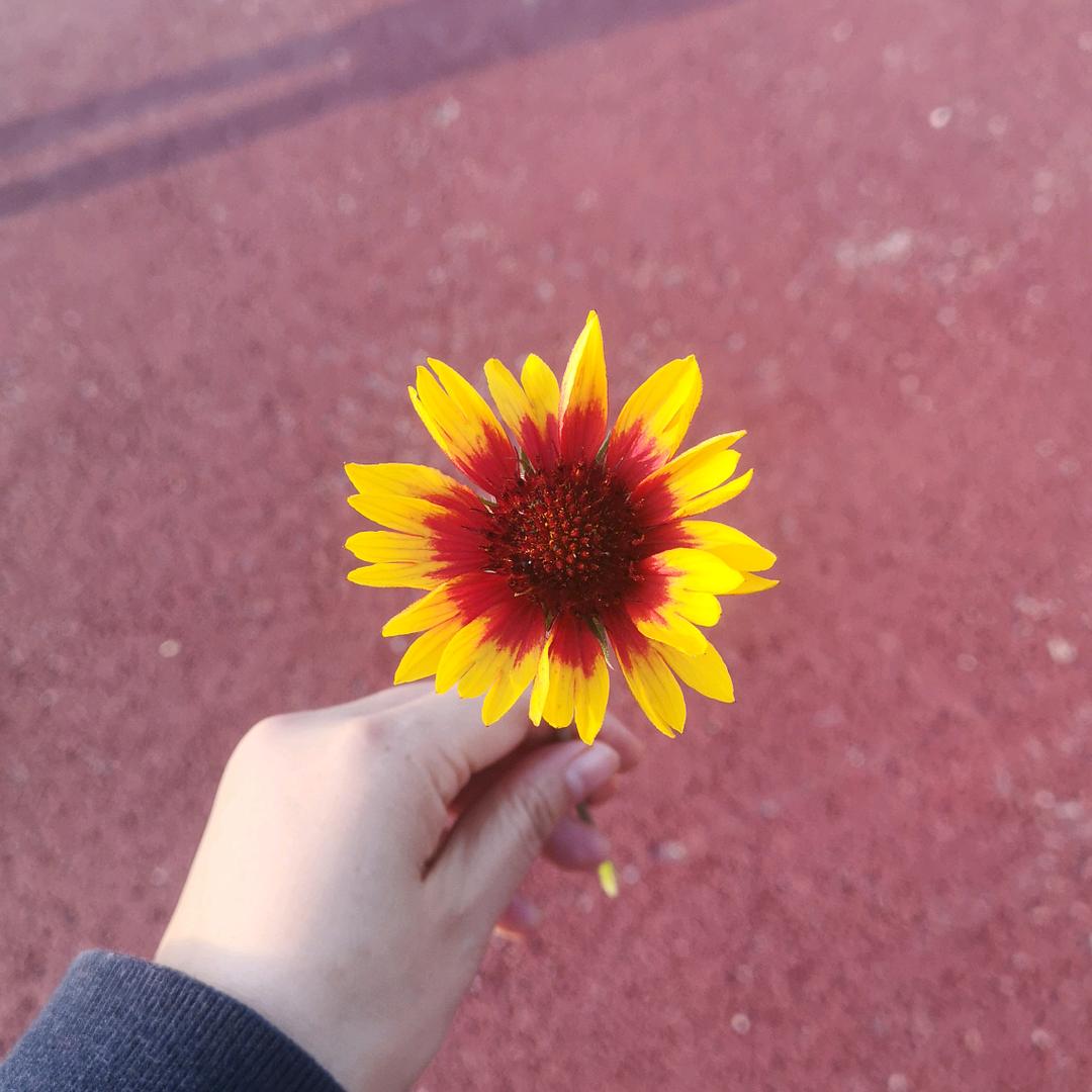 嘉宝3456789