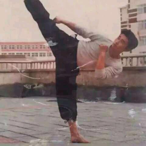 葫芦岛金马散打搏击