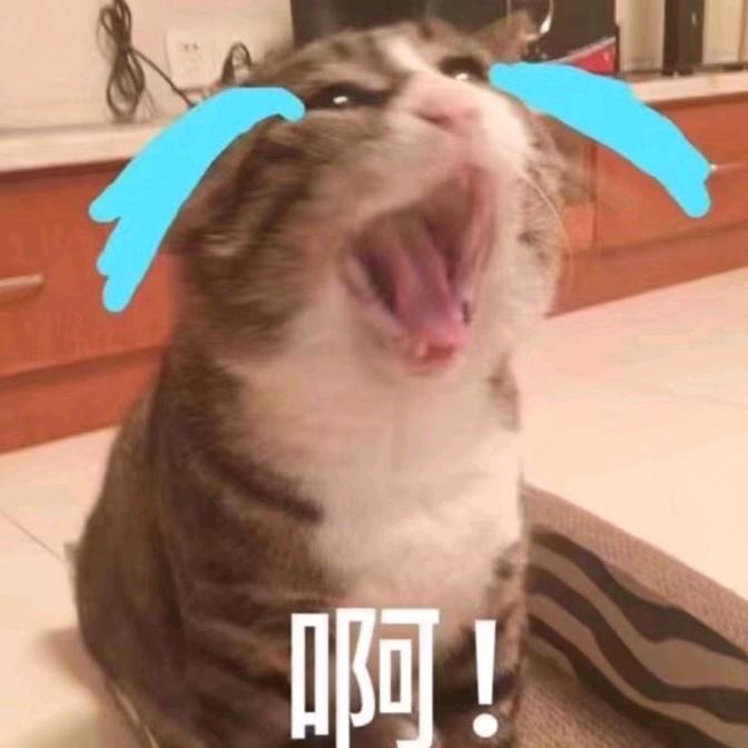 低调低调低调点