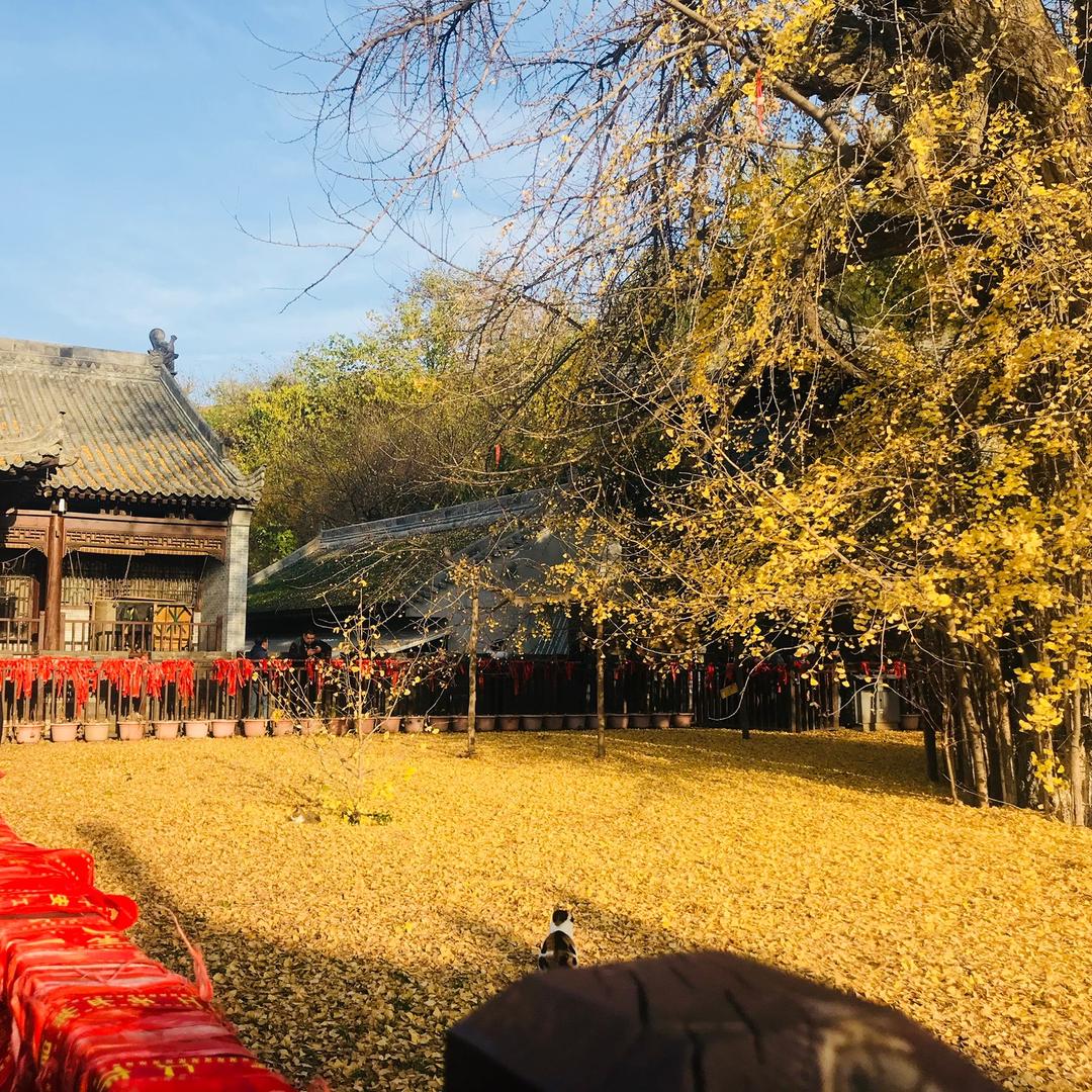 天长地久　　　　　　　╲