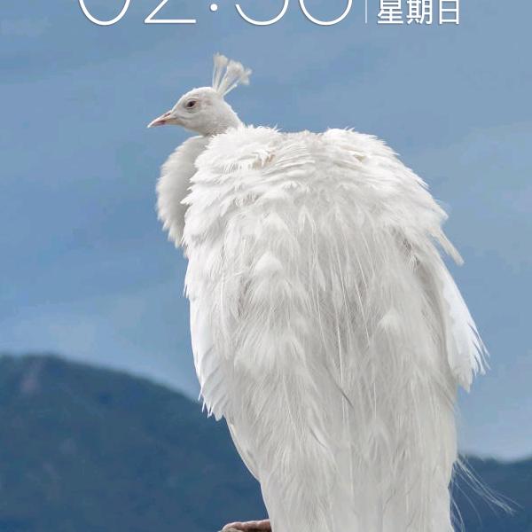 国旺@