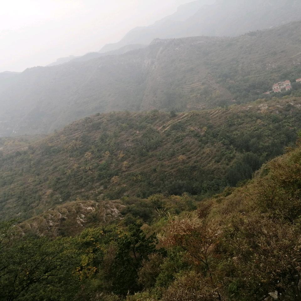 高温耐火