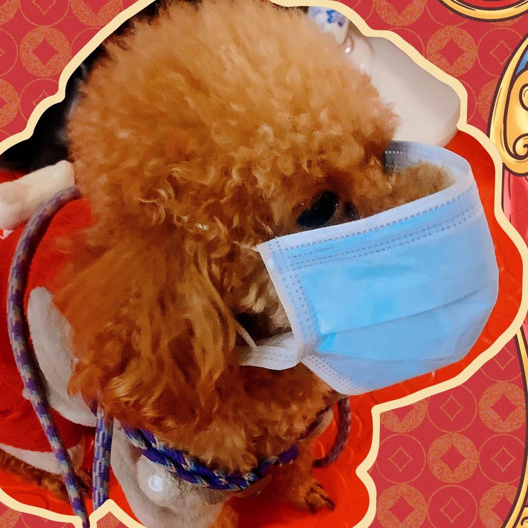 🌈帅帅滴饲养员