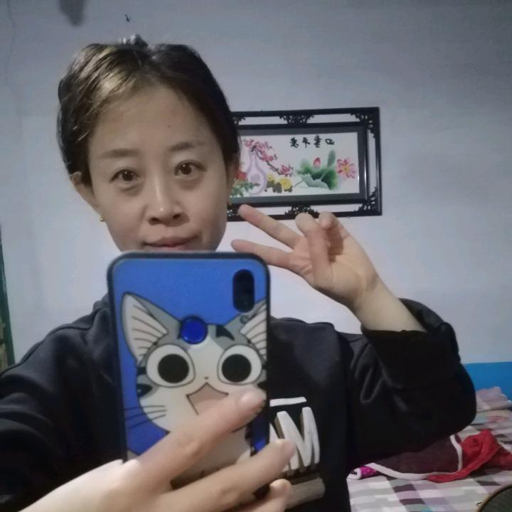 小抖抖的宠物店