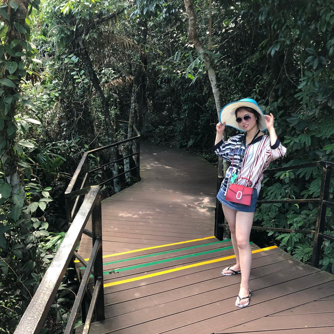 来不及忘记的失忆