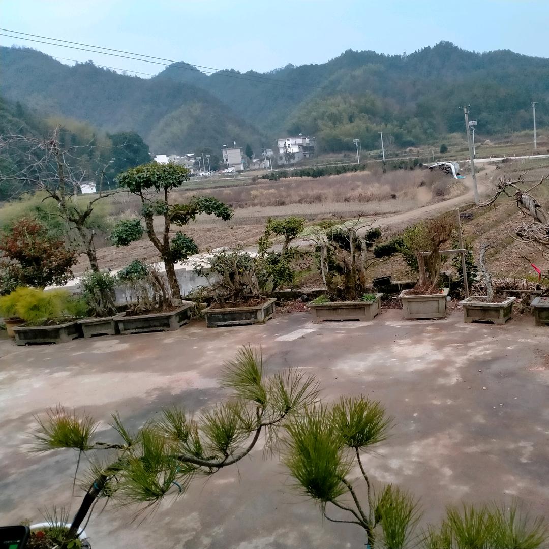 永不言败