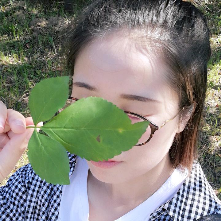 老猫爱吃鱼🐟