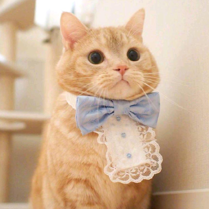 感恩快乐每一天！