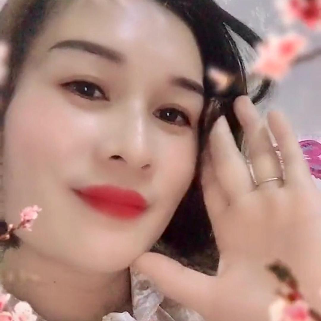 琴