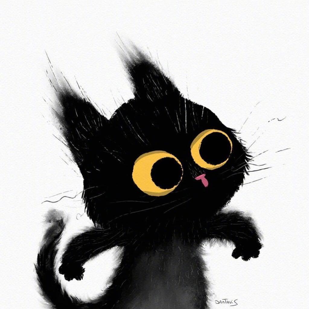 浩瑞红旗柴蕾蕾