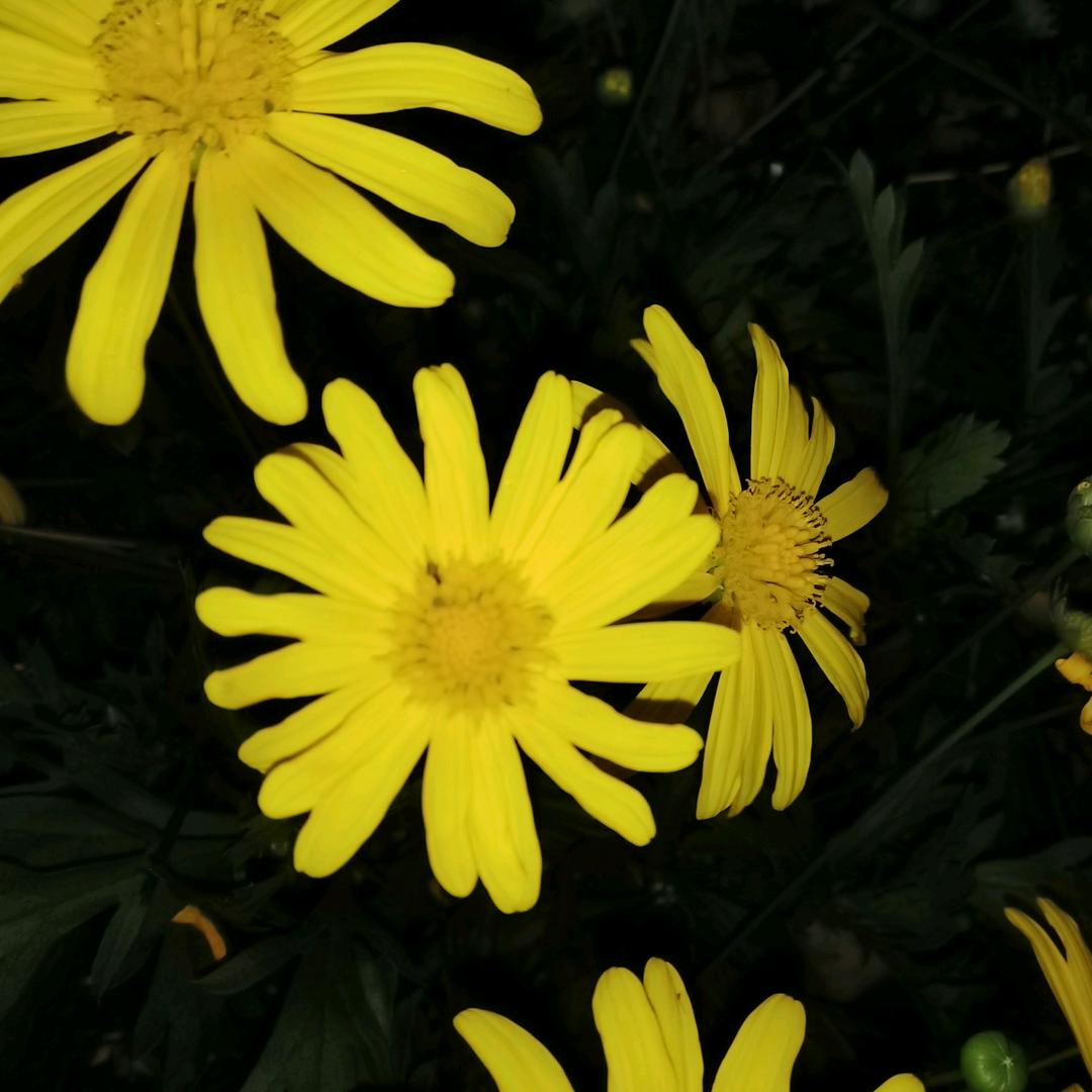 潇洒人生(｡･ω･｡)ﾉ♡