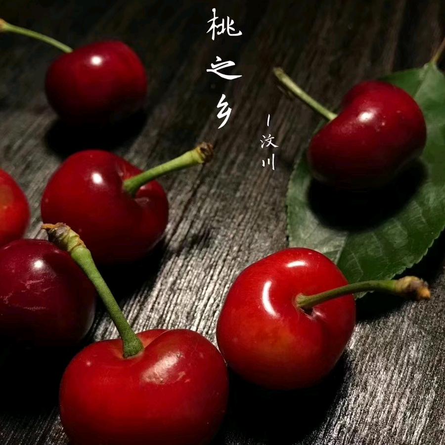 ～丽～