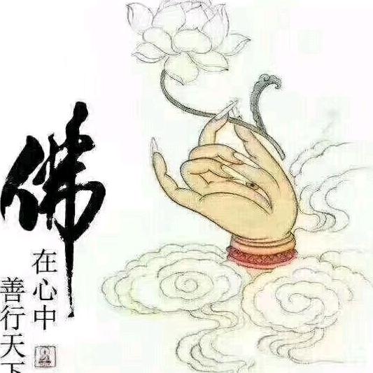 妙真1号