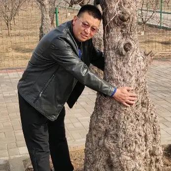 乌拉