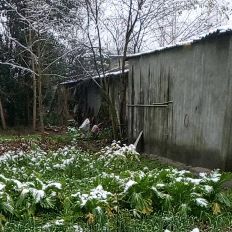 .老董的日常生活