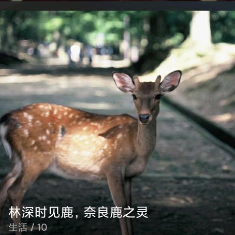 颉