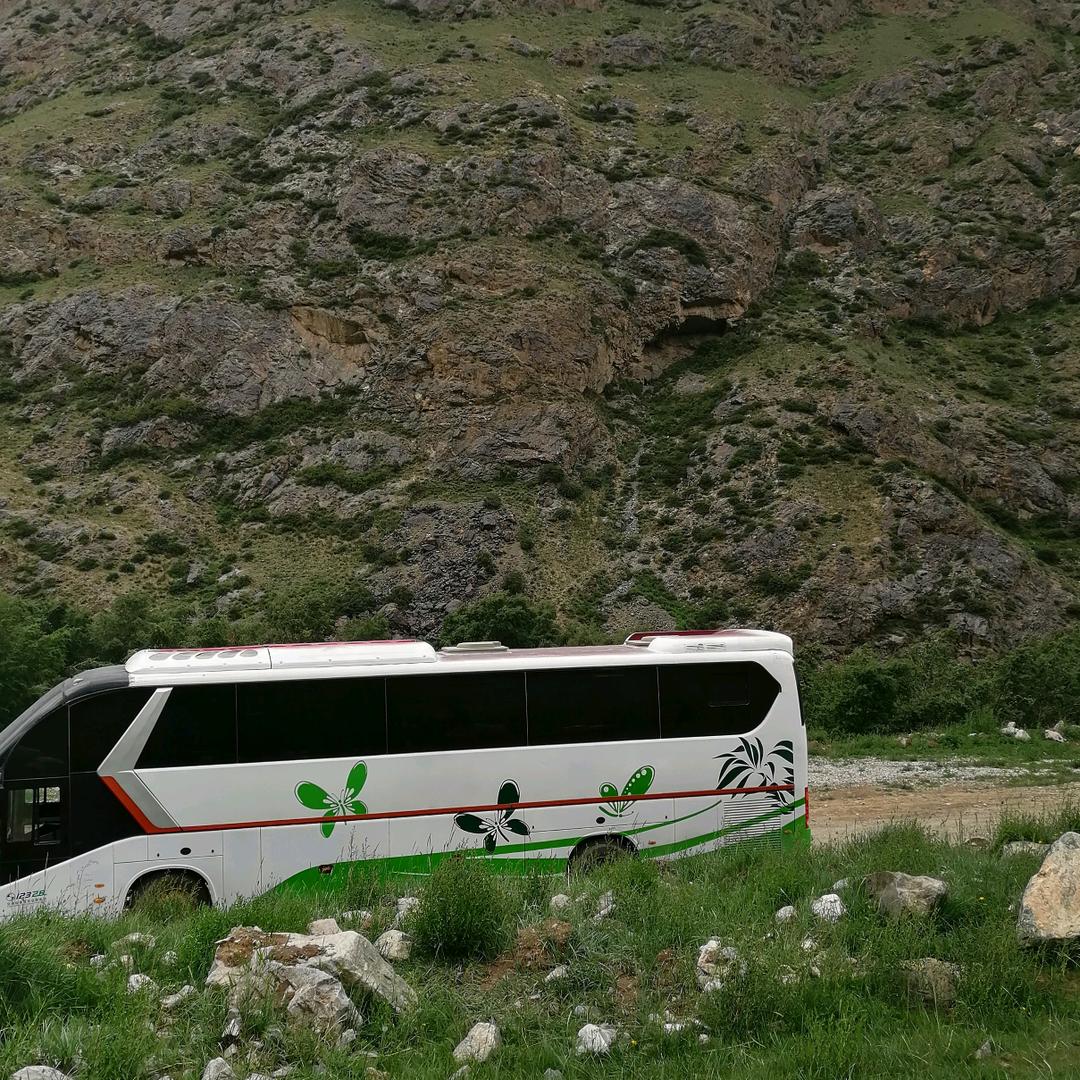 张非常-新疆长青向往国际旅游