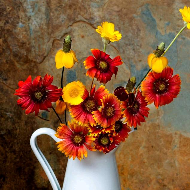 加大加肥男装～牛牛