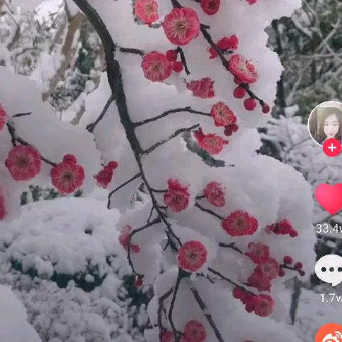 裙角飞扬