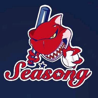 四向棒垒球（seasong）