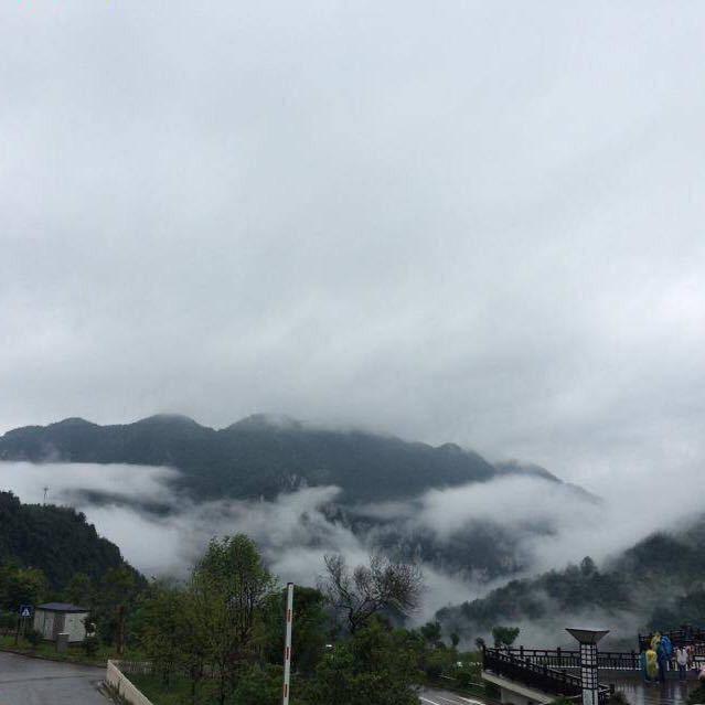 弈奕