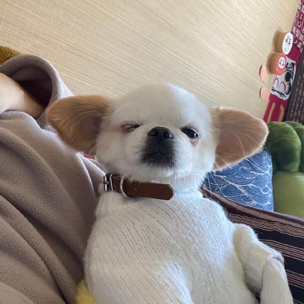 阿走没有人中