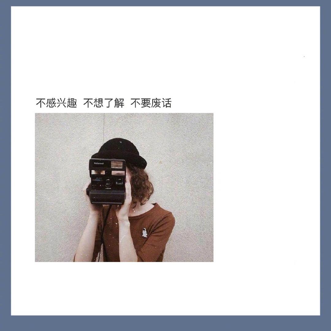 猫猫