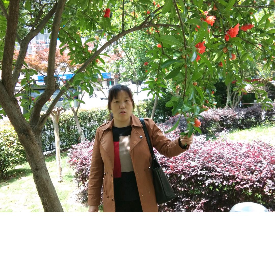 梅花