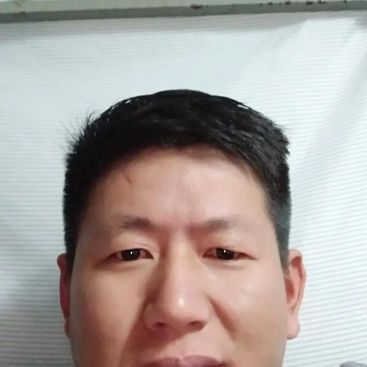 懒羊羊