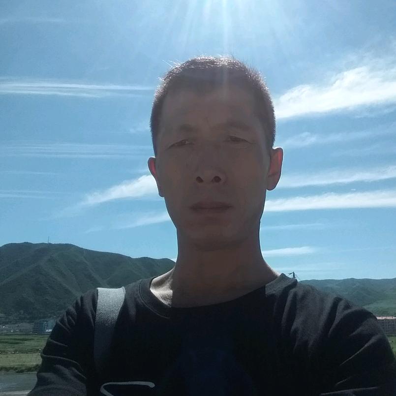 飘零的风