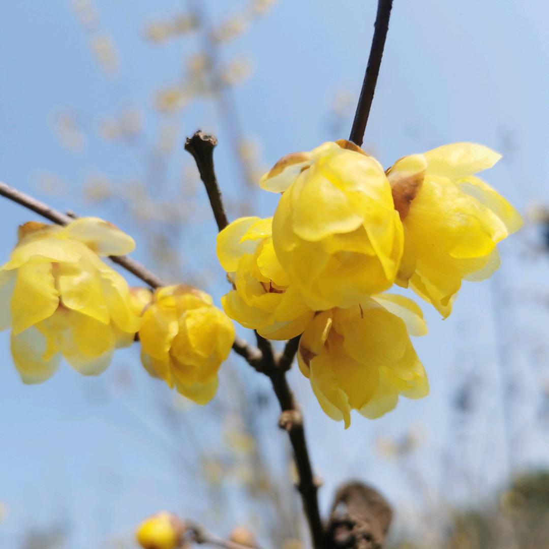 伟丽123