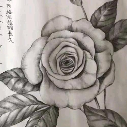 奇妙鱼（垂钓）