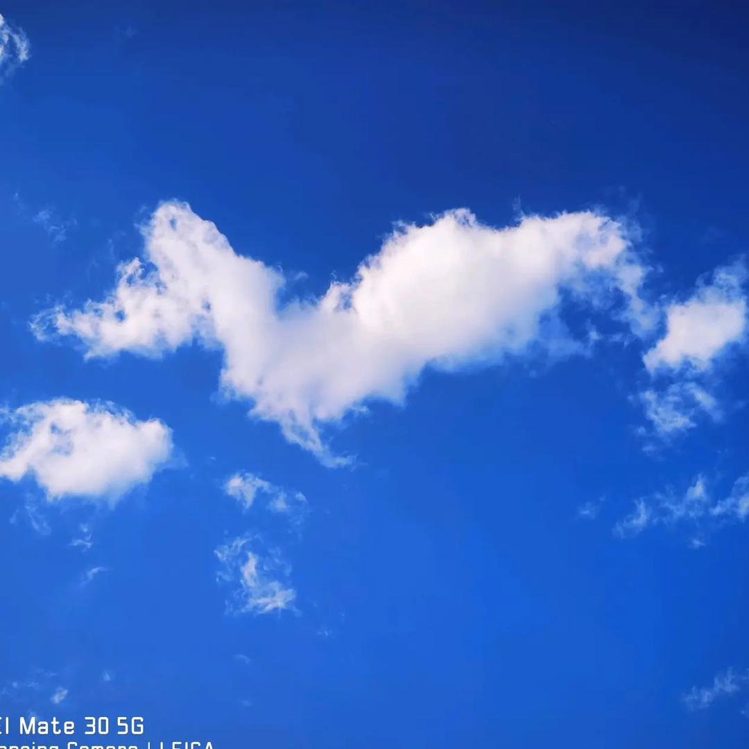 蓝天祥云小龙虾